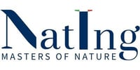NatIng Logo